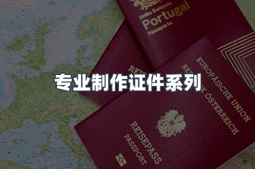 专业制作证件系列